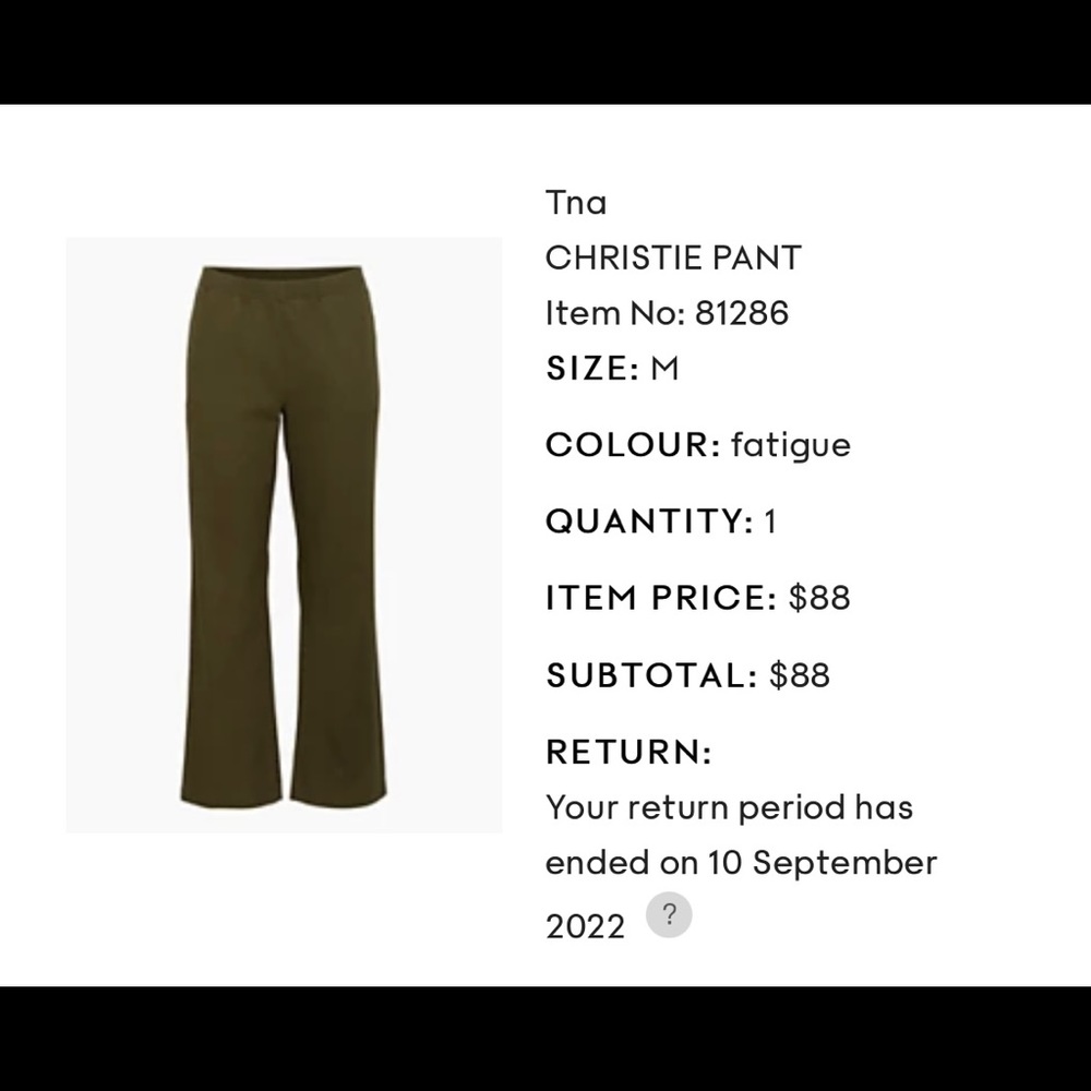 Aritzia TNA Christie pant in fatigue
